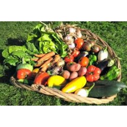 Panier Légume vtopia